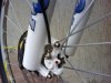 DSC00091.jpg