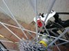 DSC00095.jpg