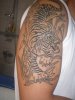 tigre1.jpg