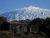 IMG_3067.jpg