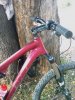 IMAG0078.jpg
