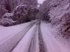poti neve.jpg