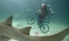12938_1307658614172_1311767623_882753_3223056_n.jpg