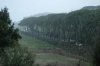 DSC_4833.jpg