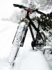 Specialized P3 snow IMG_7973.jpg