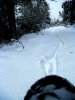 Specialized P3 snow IMG_7981.jpg