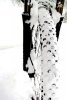 Specialized P3 snow IMG_7985.JPG
