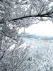 Specialized P3 snow IMG_8003.jpg