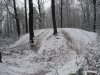 P1010994.jpg