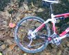 Bike + manita track 4e.jpg