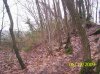 000_0203.jpg