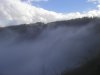 P1010055.jpg