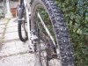 100_3812.jpg