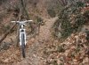 DSC07405.jpg