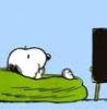 snopy.jpg