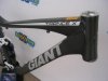 DSCN8378.jpg