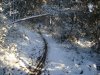 DSC02027.jpg