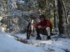 DSC02030.jpg
