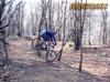 mottarone_happy-ending_557.jpg
