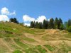kona_park_1_736.jpg