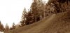 morzine_358.jpg
