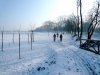 P1070672.jpg