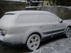 neve 2010 018.jpg
