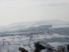 DSC06775.jpg
