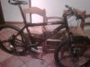 IMG00297-20100217-1832.jpg