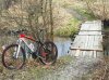 SDC10208.jpg