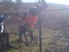 IMG00119-20100221-1110-779864.jpg