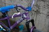 DSC_1546.jpg