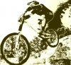 mtb-01.jpg