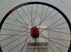 08032010185.jpg