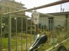 13032010125.jpg