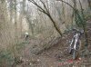 DSC07500.jpg