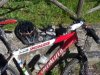 100_0076.jpg