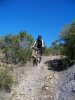 100_0062.jpg