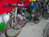 100_0078.jpg