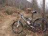DSC07526.jpg