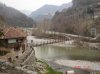 DSC07550.jpg