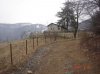DSC07554.jpg