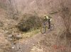 DSC07563.jpg