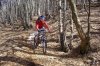 mtb 016.jpg