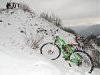 user53924_pic38502_1270571184_thumb.jpg