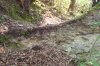 DSC01231.jpg
