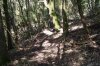 DSC01234.jpg
