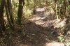 DSC01237.jpg