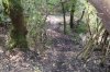 DSC01239.jpg