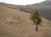 DSC07869.jpg